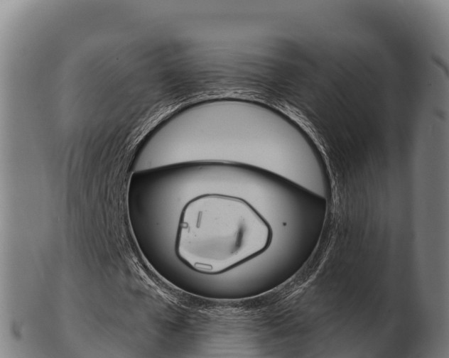X0000103460577200809121059