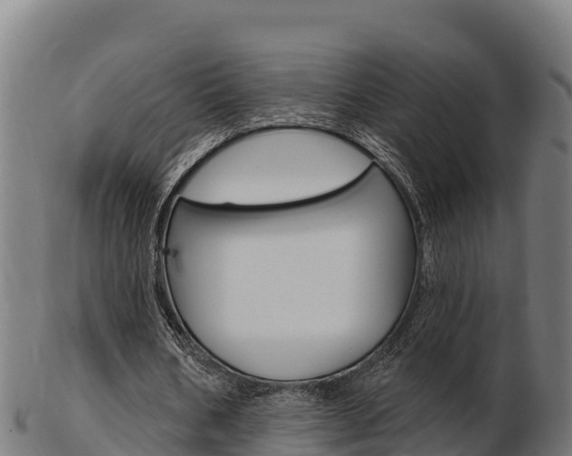 X0000103460578200809121059