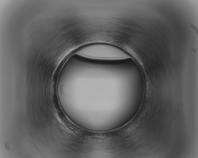 X0000103460580200809121059