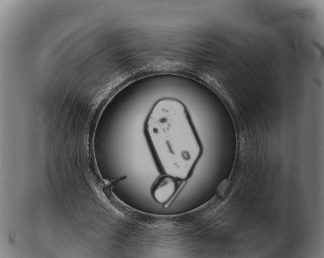 X0000103460581200809121059