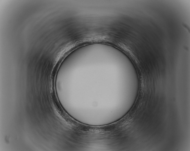 X0000103460582200809121059