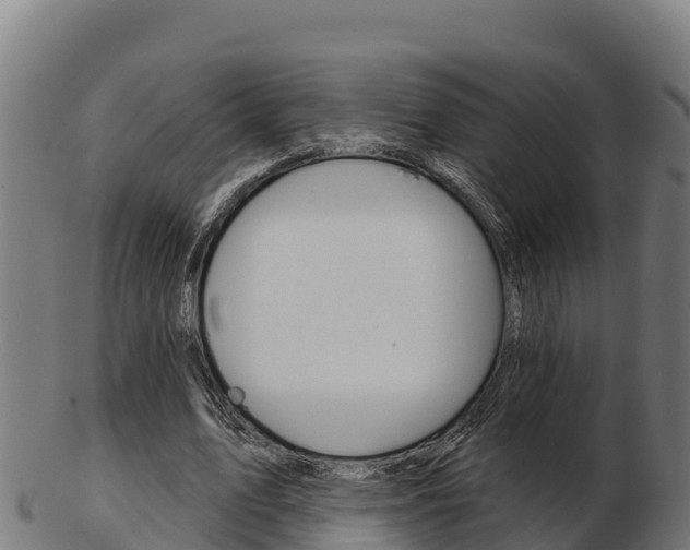 X0000103460583200809121059