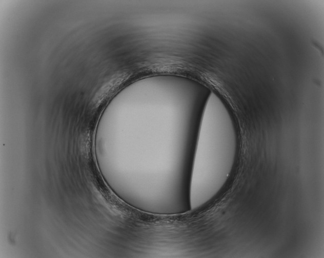 X0000103460586200809121059