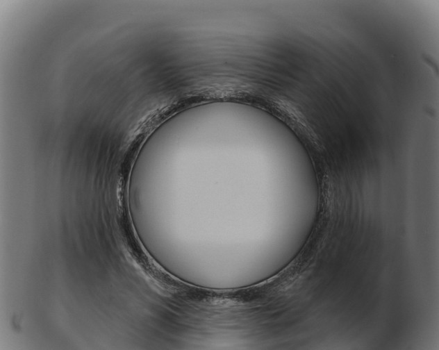 X0000103460590200809121059