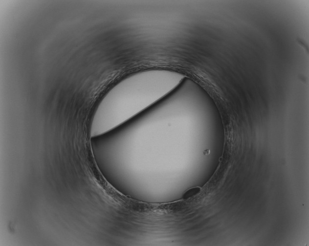 X0000103460593200809121059