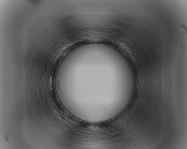 X0000103460596200809121059