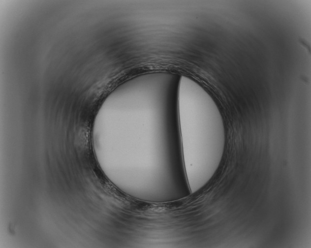 X0000103460604200809121059
