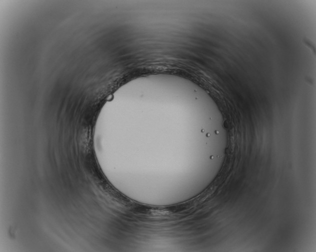 X0000103460605200809121059