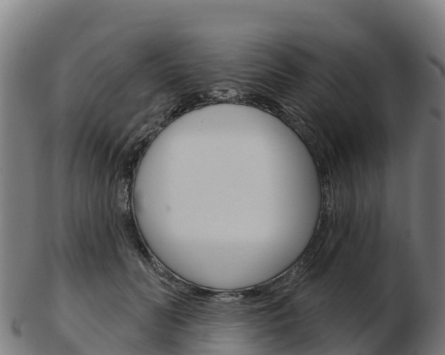 X0000103460606200809121059