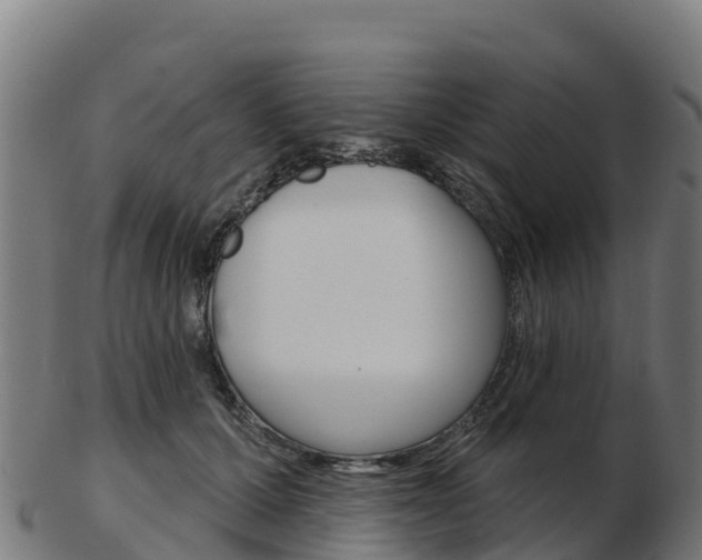 X0000103460607200809121059