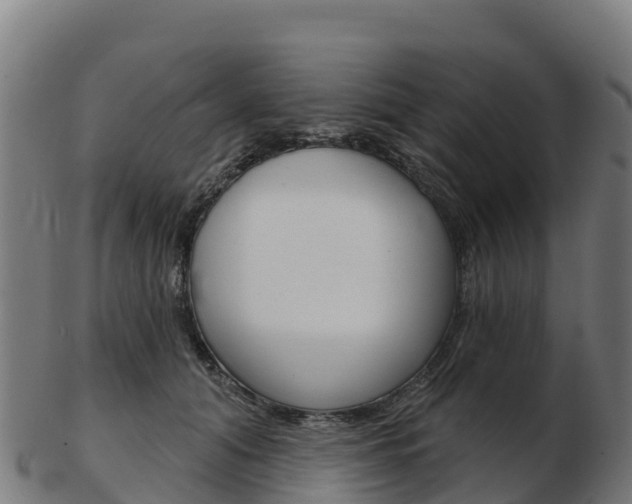 X0000103460608200809121059