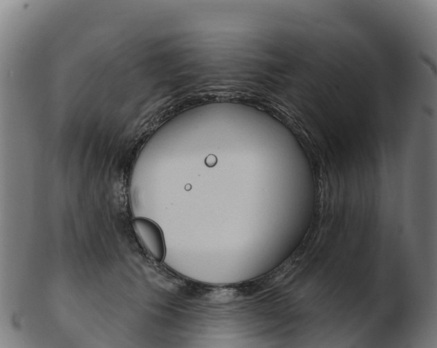 X0000103460609200809121059