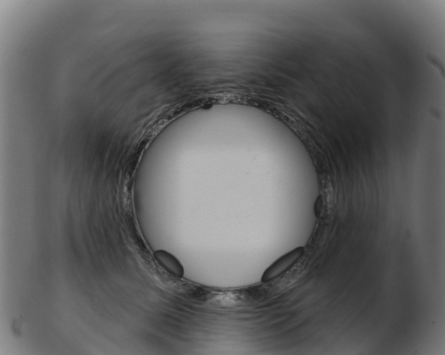 X0000103460611200809121059