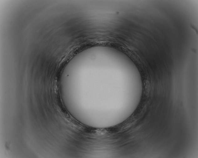 X0000103460612200809121059