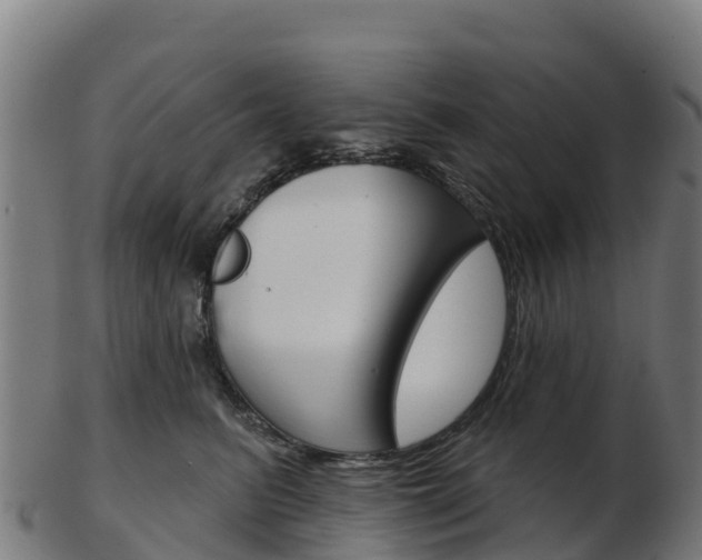 X0000103460615200809121059