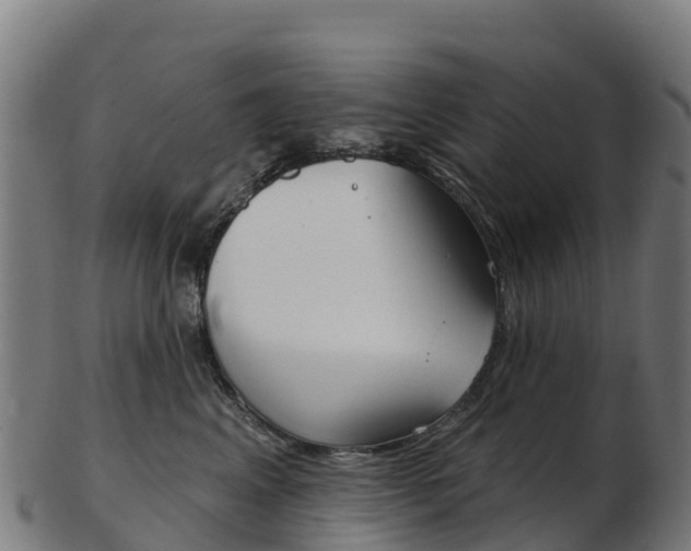 X0000103460617200809121059