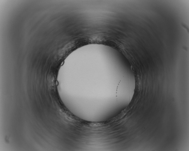 X0000103460619200809121059