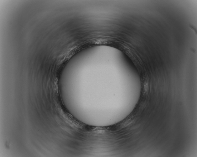 X0000103460620200809121059