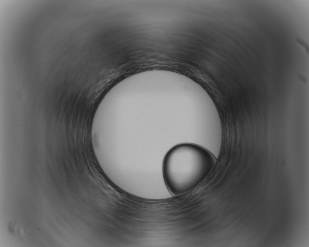 X0000103460621200809121059