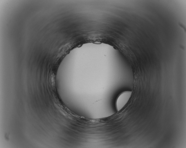 X0000103460623200809121059
