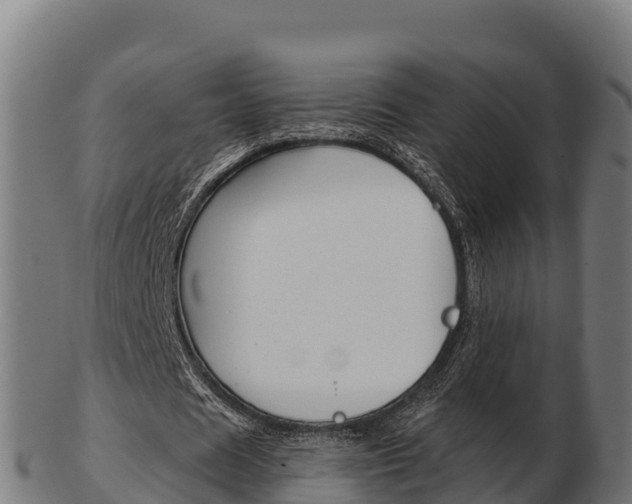 X0000103460625200809121058
