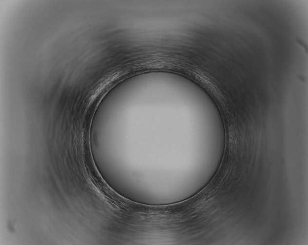 X0000103460626200809121058