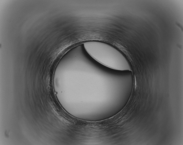 X0000103460627200809121058