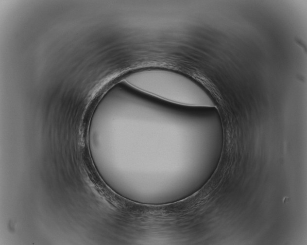 X0000103460628200809121058