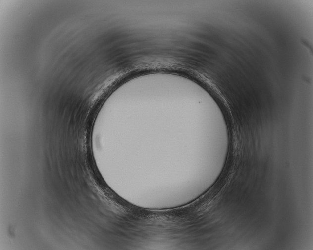 X0000103460629200809121058