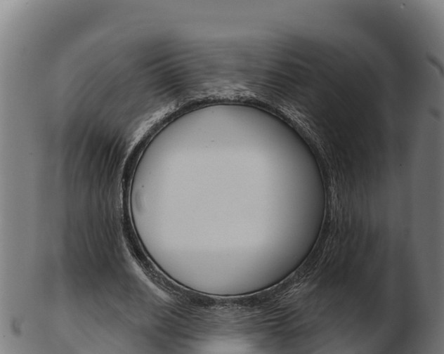 X0000103460630200809121058