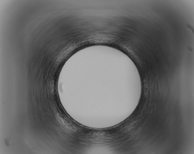 X0000103460631200809121058