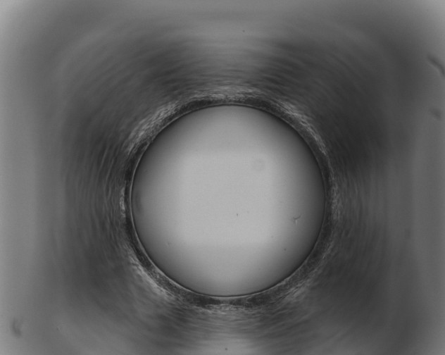 X0000103460633200809121058
