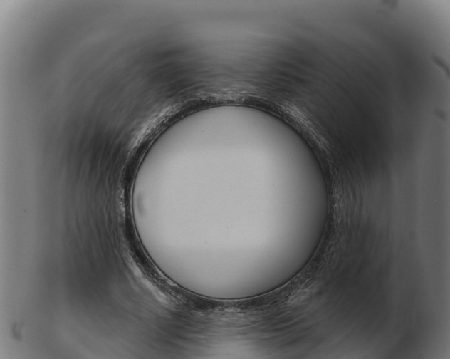 X0000103460634200809121058