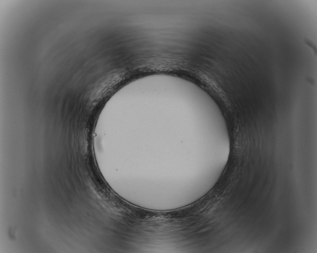 X0000103460635200809121058