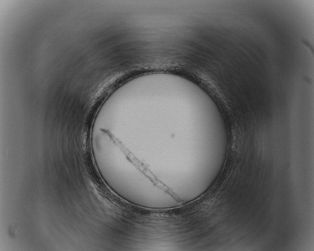 X0000103460636200809121058