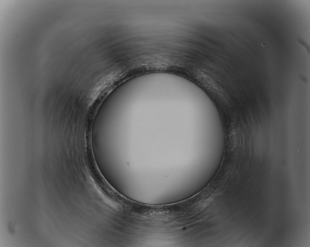 X0000103460638200809121058