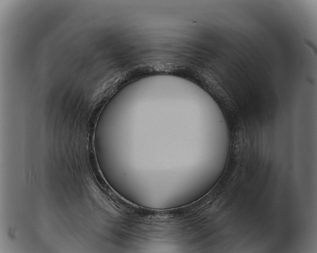 X0000103460639200809121058