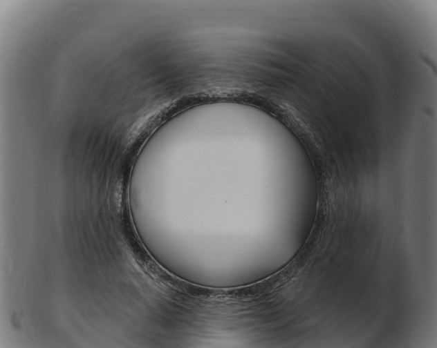 X0000103460640200809121058