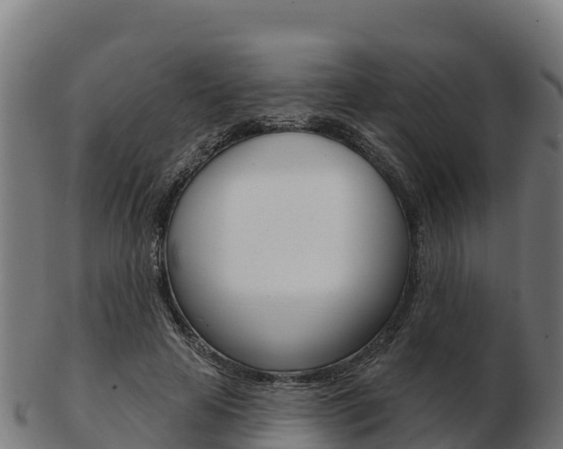 X0000103460641200809121058