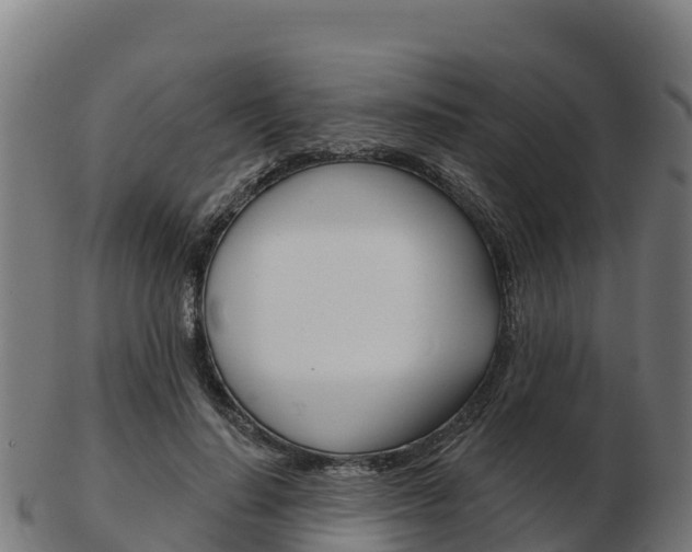 X0000103460644200809121058