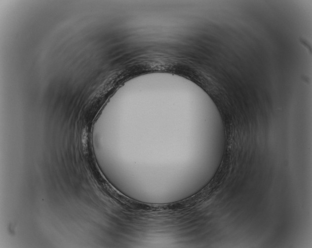 X0000103460646200809121058