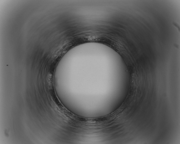 X0000103460650200809121058
