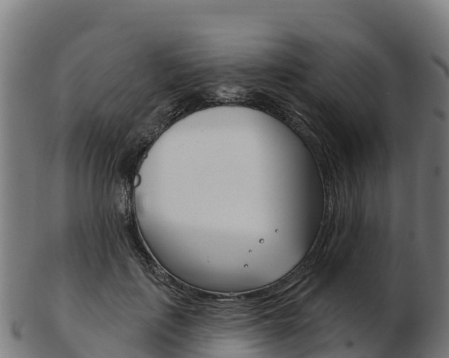 X0000103460651200809121058