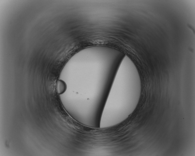X0000103460652200809121058