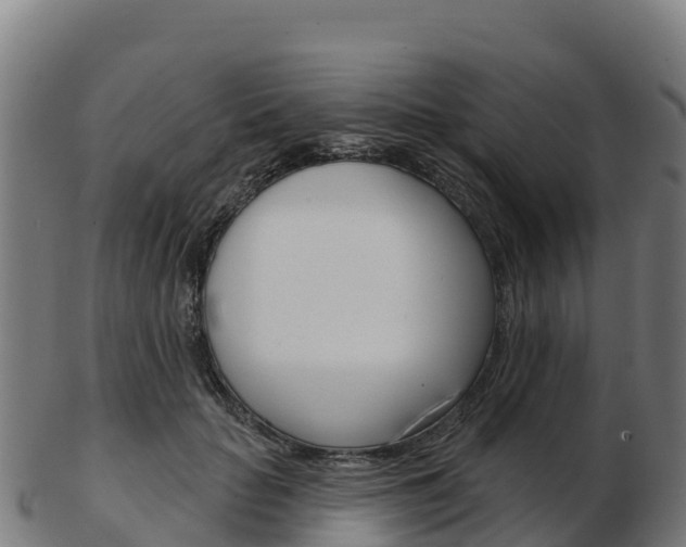X0000103460653200809121058