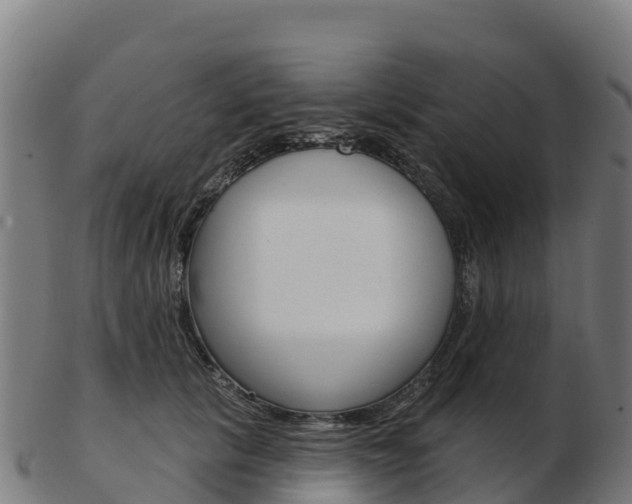 X0000103460657200809121058