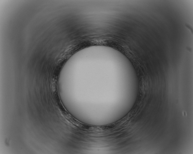 X0000103460658200809121058
