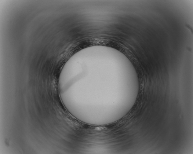 X0000103460663200809121058