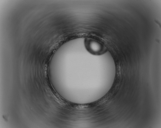 X0000103460664200809121059