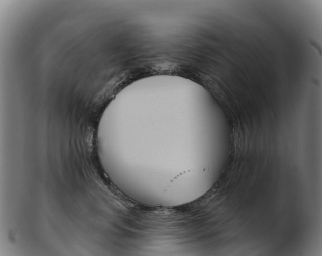 X0000103460668200809121059